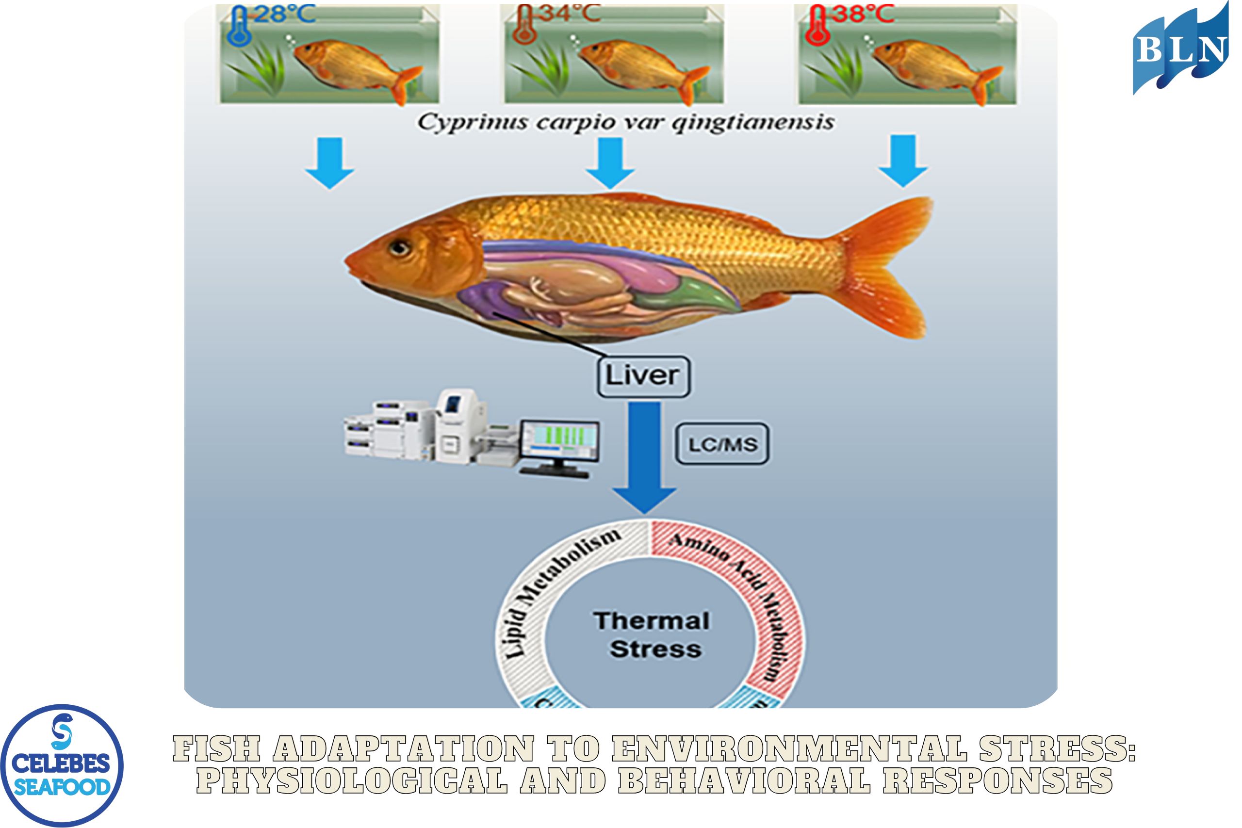Fish Adaptation to Environmental Stress: Physiological and Behavioral Responses